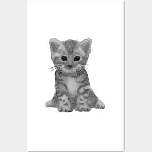 Watercolor Kitten Illusion Posters and Art